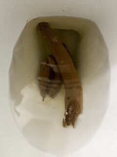 One of my biggest dumps yet