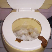 toiletfan