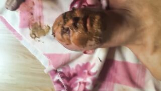 Shit on his face and rub it in