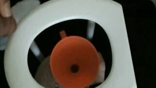 Toilet Slave