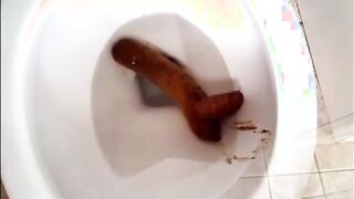 Unflushable Shit