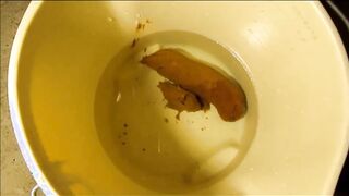 Big Fat Turd