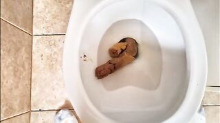 Long Drop