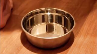 Twink eats poop from a bowl