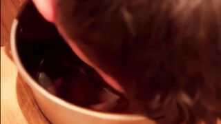 Twink eats poop from a bowl