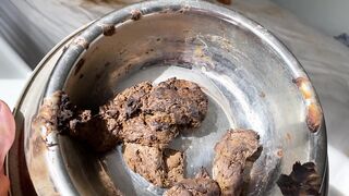 Old dried shit and a new dump on top