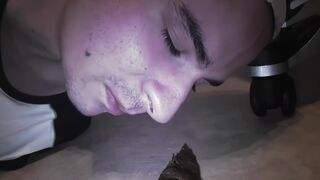 Scallys Playing