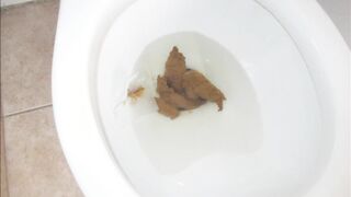 Sailorman's Shit