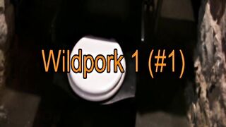 Wilpork 1 - Part 1