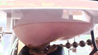 Pig Having fun under rim seat