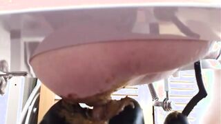 Pig Having fun under rim seat