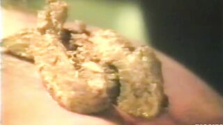 muscles scat