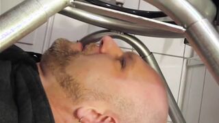 Rimseat Feed